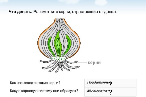 Как открыть ссылку с кракена